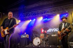 Revolver-8